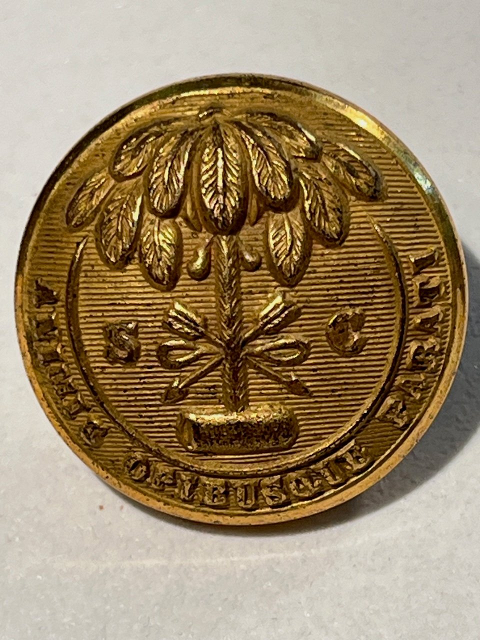 #136-CIVIL WAR SALE: VERY RARE CONFEDERATE SOUTH CAROLINA UNIFORM BUTTON, PALMETTO DESIGN