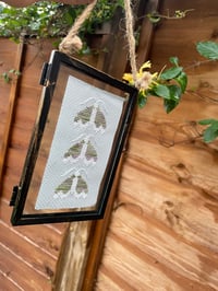 Image 1 of Mystic Moth Cross Stitch