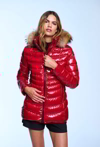 Image 3 of PLUMAS LION HENRY ARROWAY