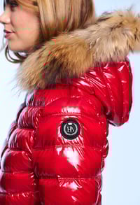 Image 4 of PLUMAS LION HENRY ARROWAY