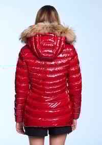 Image 5 of PLUMAS LION HENRY ARROWAY