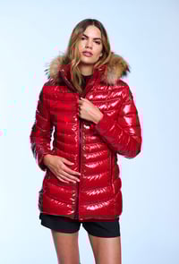 Image 1 of PLUMAS LION HENRY ARROWAY