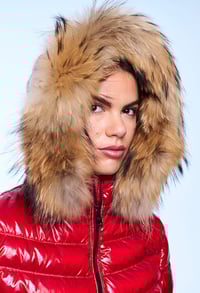 Image 8 of PLUMAS LION HENRY ARROWAY