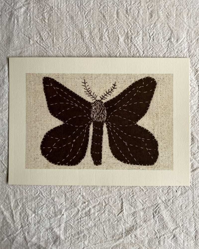 Image of AVELAÍÑA - Lámina  A4