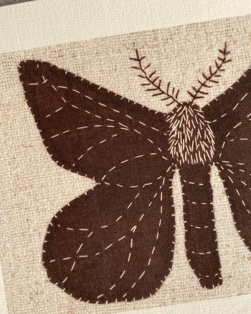 Image of AVELAÍÑA - Lámina  A4