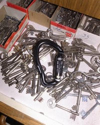 Image 1 of EAR TWIST CARABINER BY DEAD INSIDE 