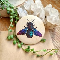 Image 2 of Matte Insect Button Pins