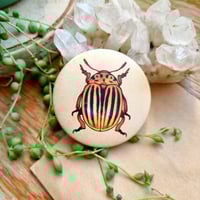 Image 7 of Matte Insect Button Pins