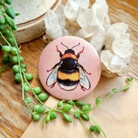 Image 3 of Matte Insect Button Pins