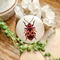 Image 4 of Matte Insect Button Pins