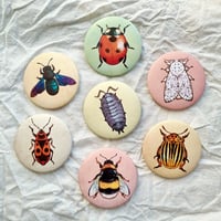 Image 1 of Matte Insect Button Pins