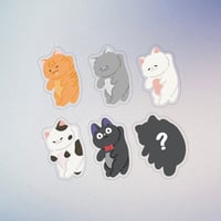 Image 2 of Hanging Cats Blind bag