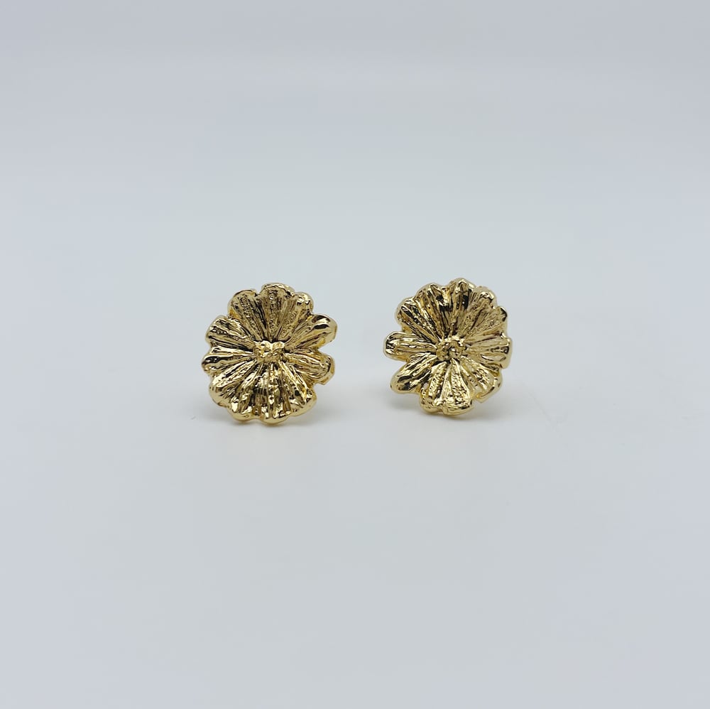 Image of Boucles d'oreilles Péronile