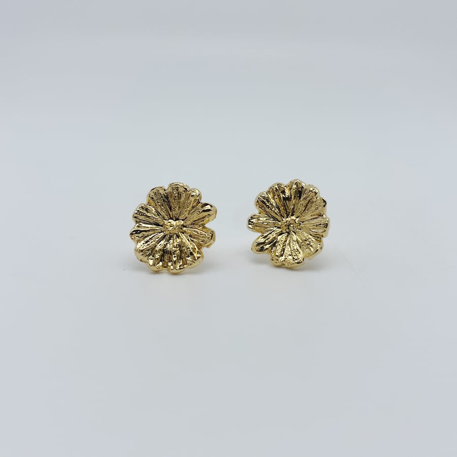 Image of Boucles d'oreilles Péronile