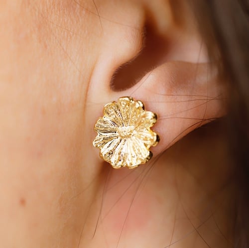 Image of Boucles d'oreilles Péronile