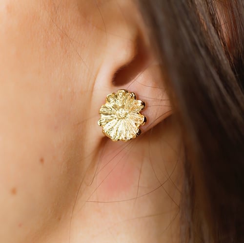 Image of Boucles d'oreilles Péronile