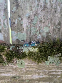 Image 3 of Turquoise Mountain and Mustard Seed Studs