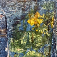 Image 4 of Almost Blue