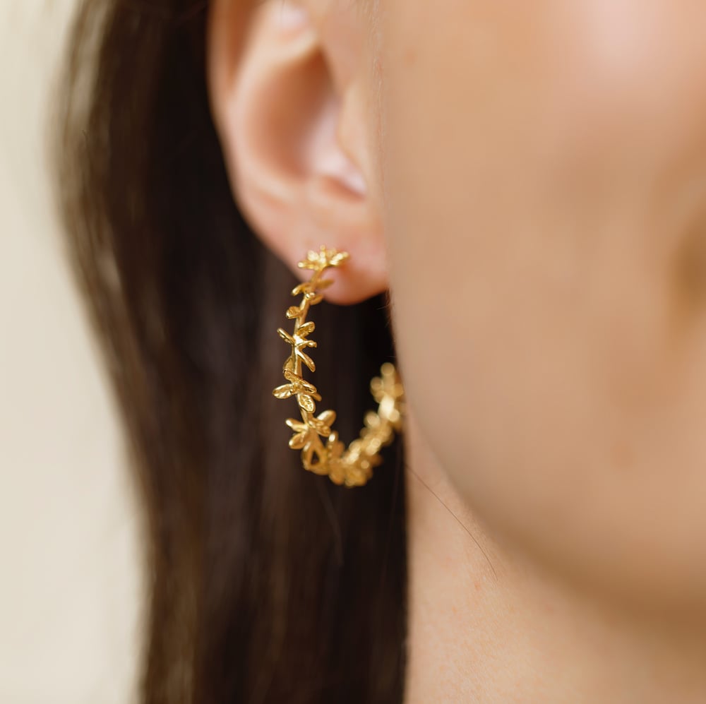 Image of Boucles d'oreilles Fiséline