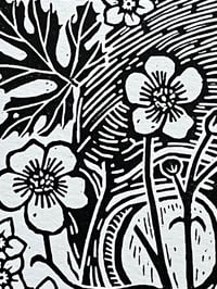 Image 2 of ‘Forget Me Not’