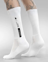 Image 2 of suplest AERO Socks white