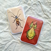 Image 1 of Rectangular Insect Button Pins