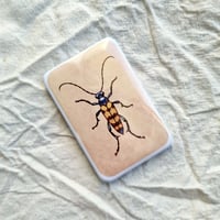 Image 3 of Rectangular Insect Button Pins