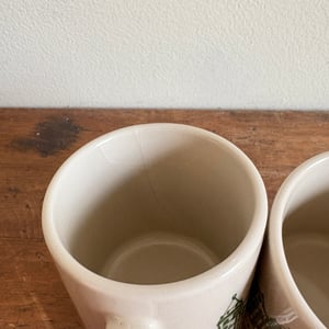 Image of American Museum of Natural History Mug Set