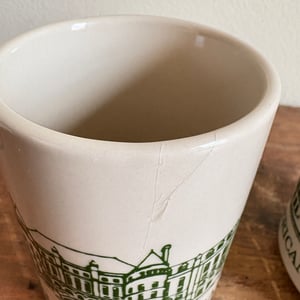 Image of American Museum of Natural History Mug Set