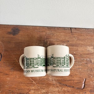 Image of American Museum of Natural History Mug Set