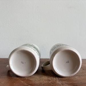 Image of American Museum of Natural History Mug Set