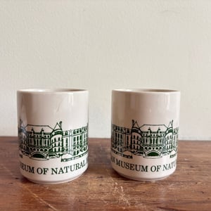 Image of American Museum of Natural History Mug Set