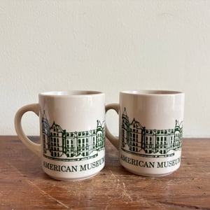 Image of American Museum of Natural History Mug Set