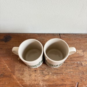 Image of American Museum of Natural History Mug Set