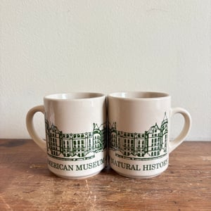 Image of American Museum of Natural History Mug Set