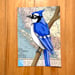 Image of  Blue Jay / unframed original painting