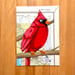 Image of Cardinal / unframed original painting