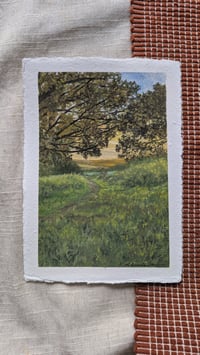 Image 1 of Autumn's glow