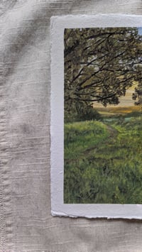 Image 4 of Autumn's glow