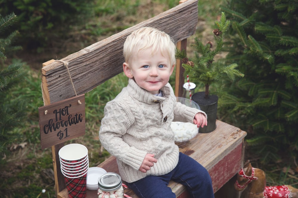 Image of Holiday Mini Sessions