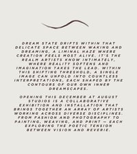 Image 2 of Dream State Dec 5 and 6 2025