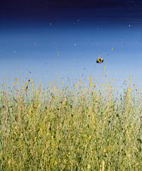 Image 1 of 'Come Fly With Me'