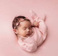 TULIP TIME COLLECTION | BACKDROP