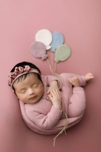 WILD ROSE COLLECTION | BACKDROP