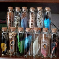 Image 1 of Butterfly wing vial