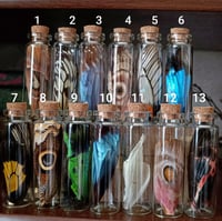 Image 3 of Butterfly wing vial