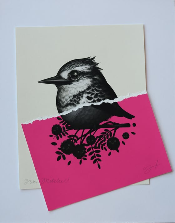 Image of Fat Bastard NOV1