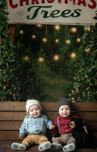 Image 2 of Dec 9th indoor Christmas tree farm