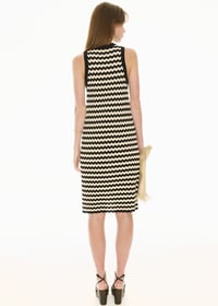 Image 4 of pol bonde tank dress