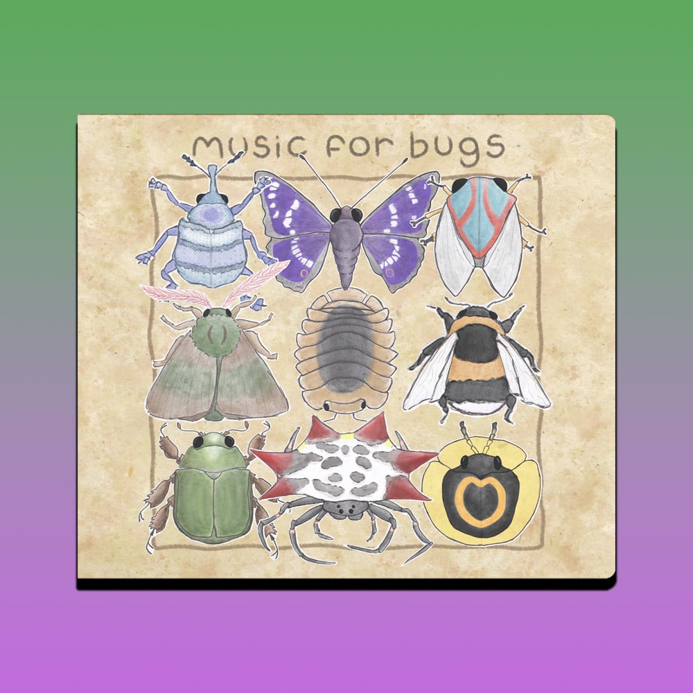Image of Music for Bugs - camiidae CD